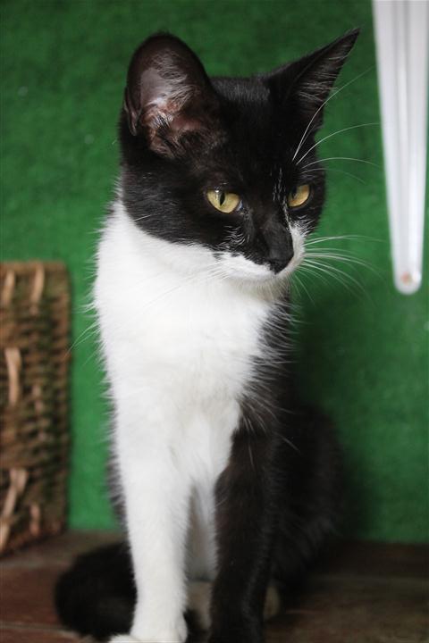 Pro Life Pet Rescue Sanctuary needs your assistance in 